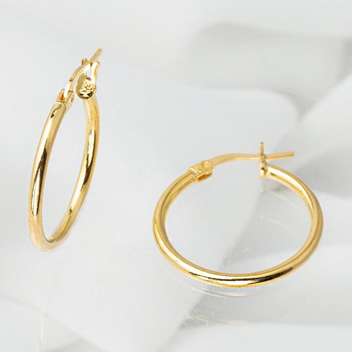 22 Ayar Klasik Halka Altın Küpe 2.5 cm - 6