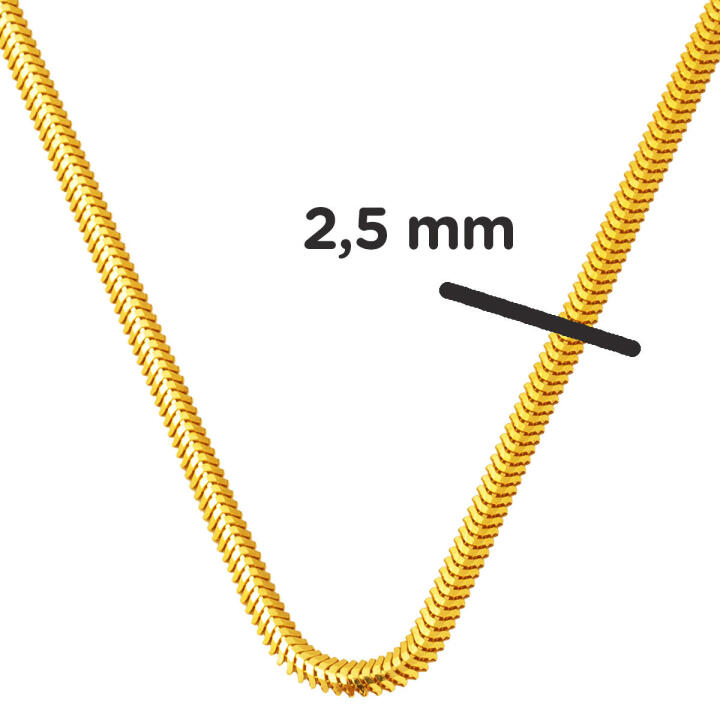 55 cm. 22 Ayar Altın Balıksırtı Zincir - 4