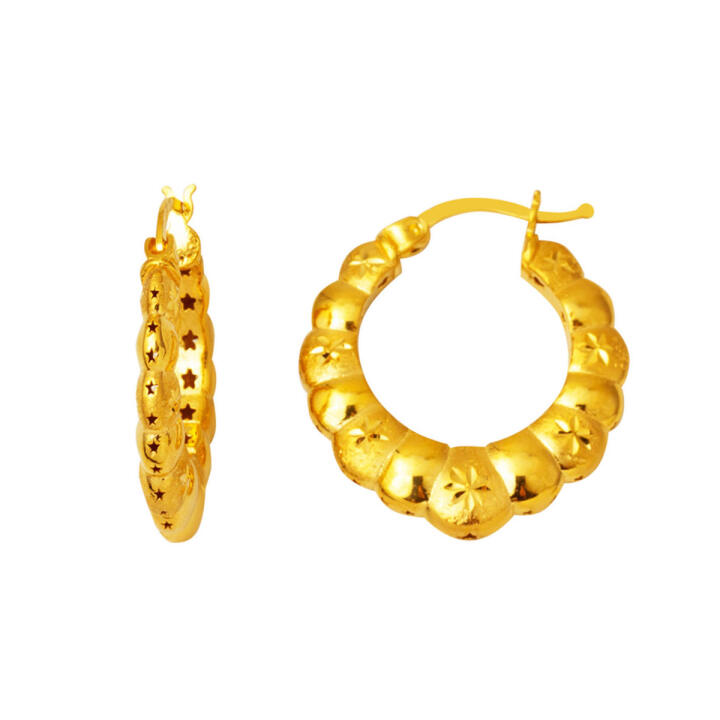 Yaşam Yıldızları 22 Ayar Altın Halka Küpe - 1